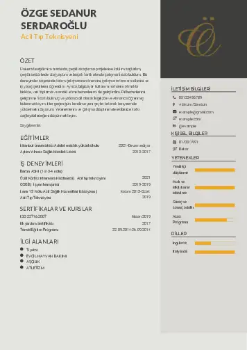 Acil Tıp Teknisyeni CV Örnekleri cv indir
